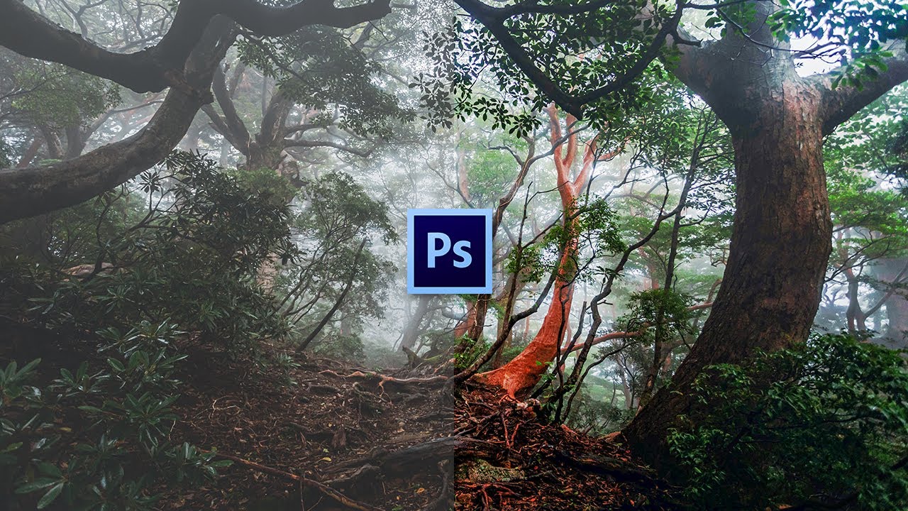 Detail Efek Kabut Photoshop Nomer 17