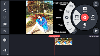 Detail Efek Kinemaster Nomer 48