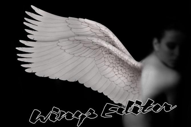 Detail Efek Sayap Editor Nomer 16