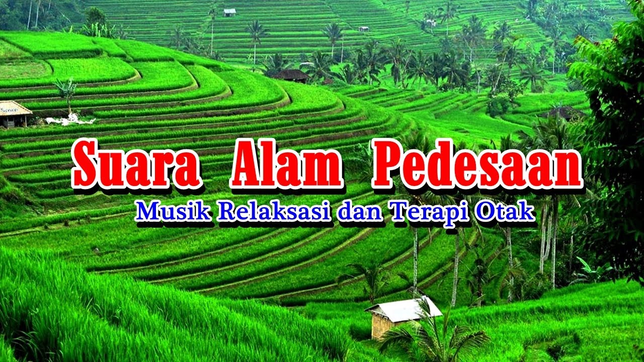 Detail Efek Suara Alam Pedesaan Nomer 5