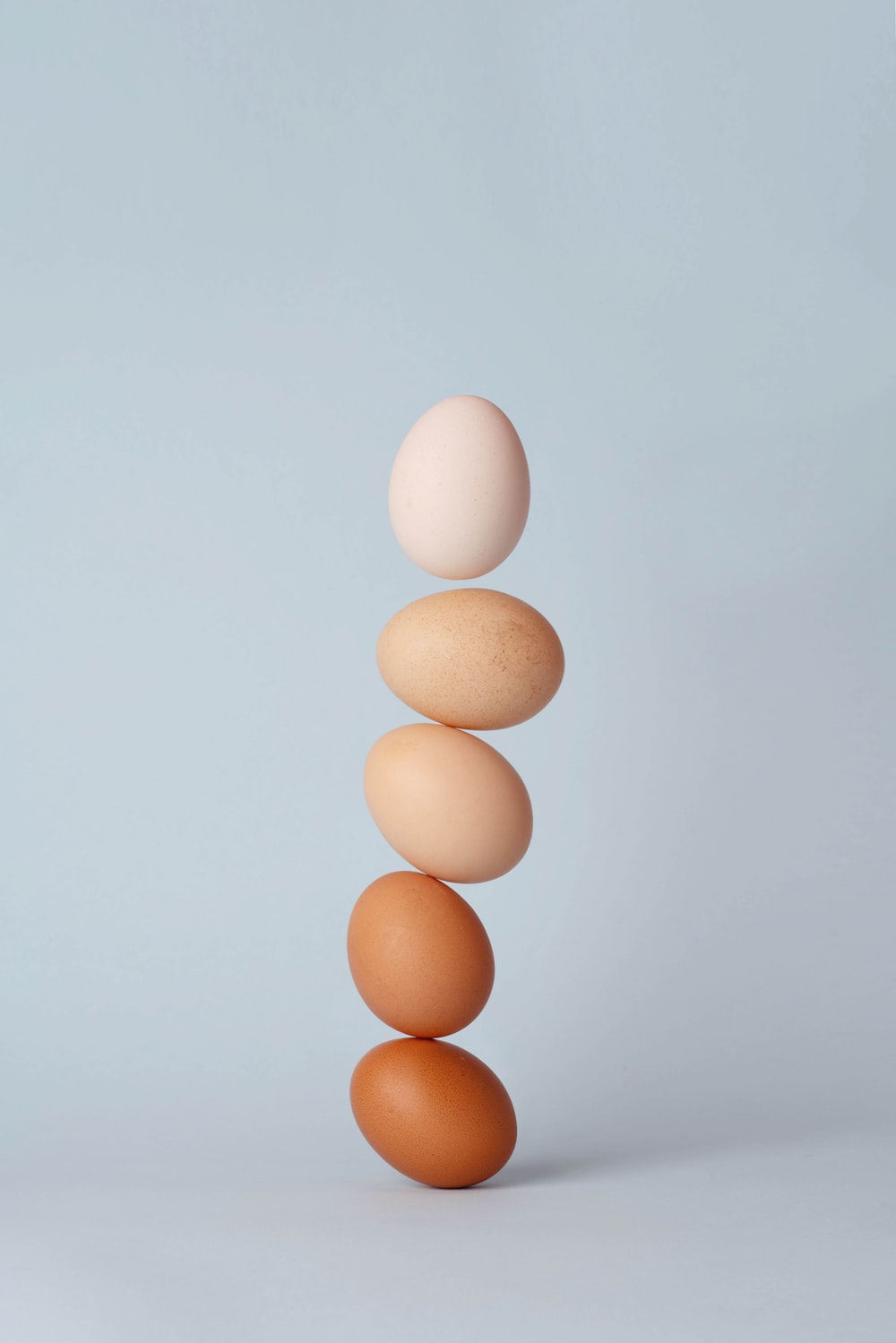Detail Egg Image Nomer 15