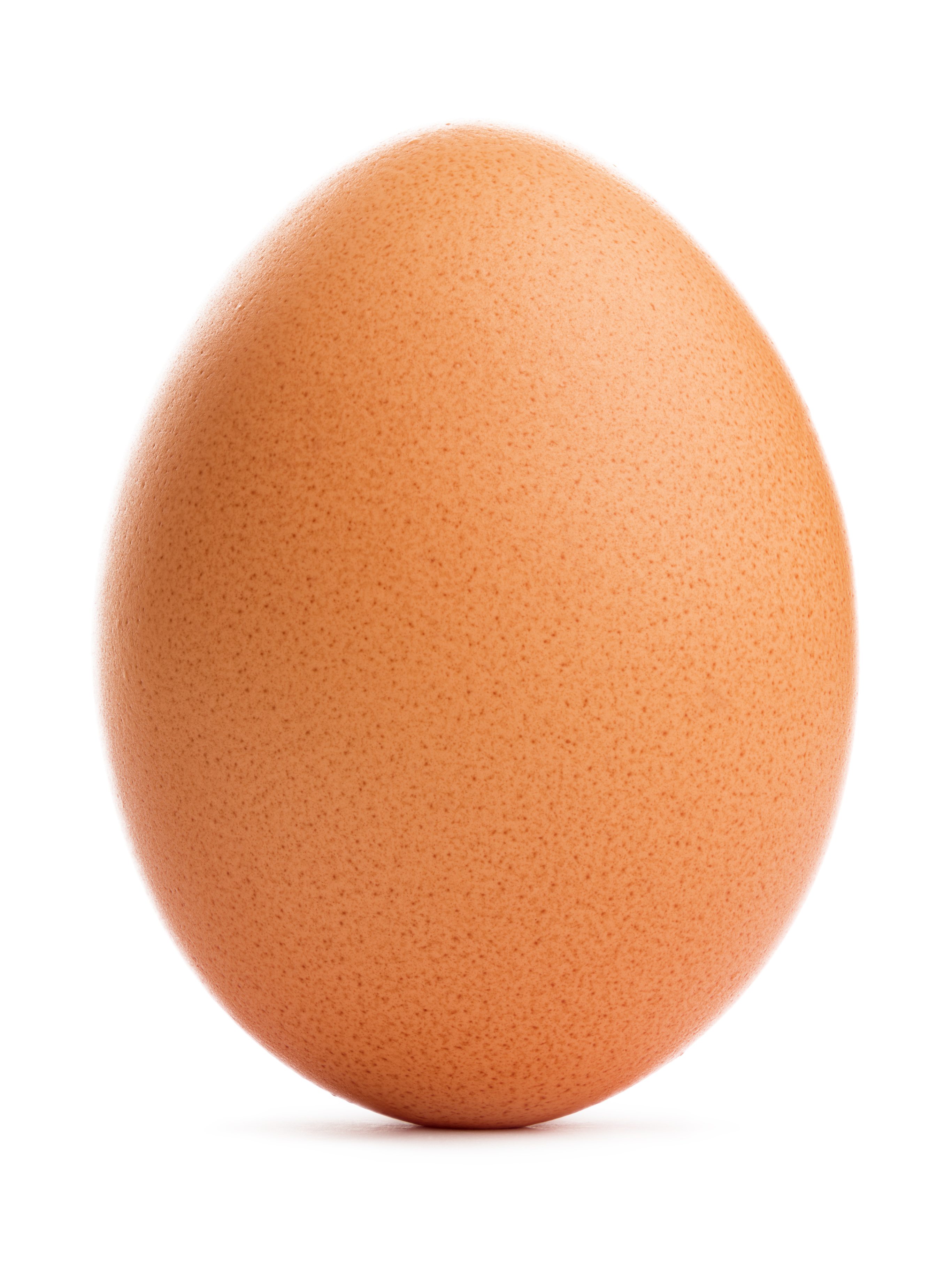 Detail Egg Image Nomer 17
