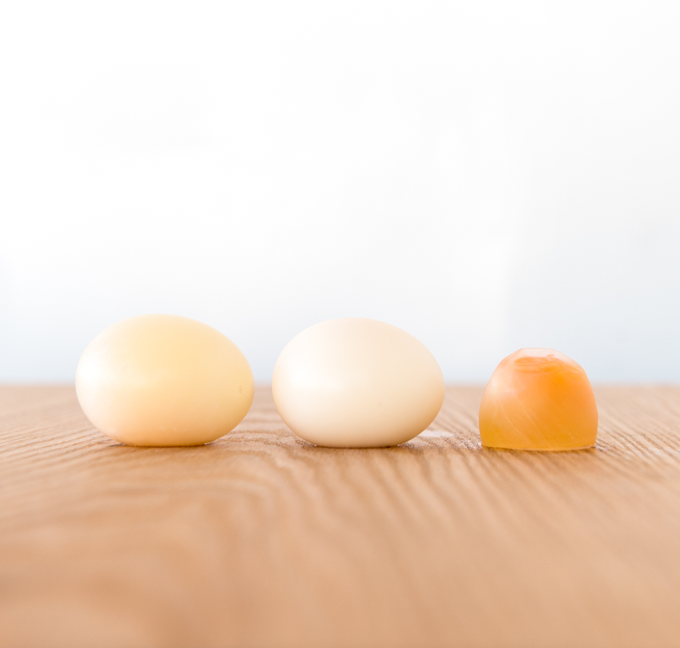 Detail Egg Image Nomer 56