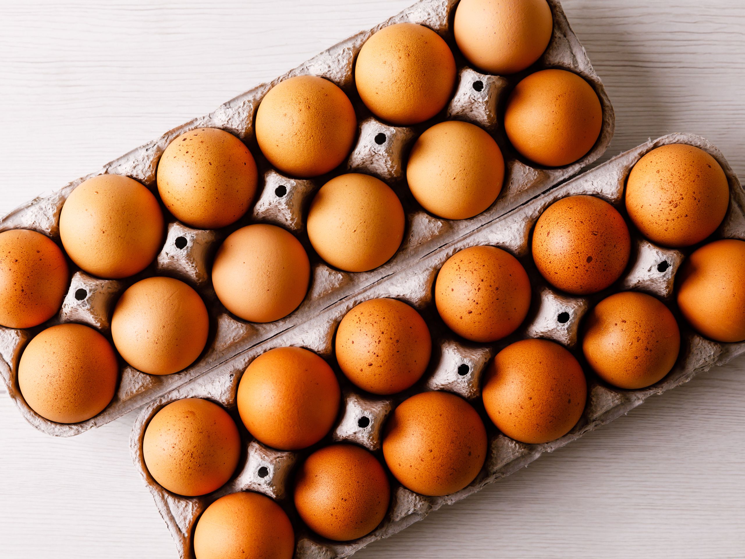 Detail Egg Image Nomer 8