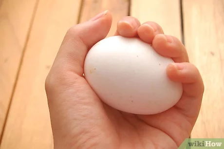 Detail Egg In Hand Nomer 38