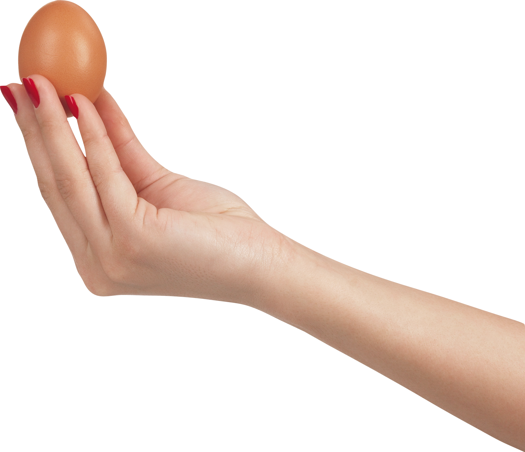 Detail Egg In Hand Nomer 10