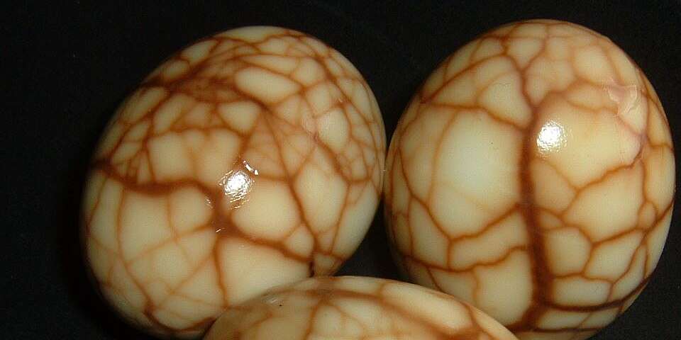 Detail Egg Pictures Nomer 17