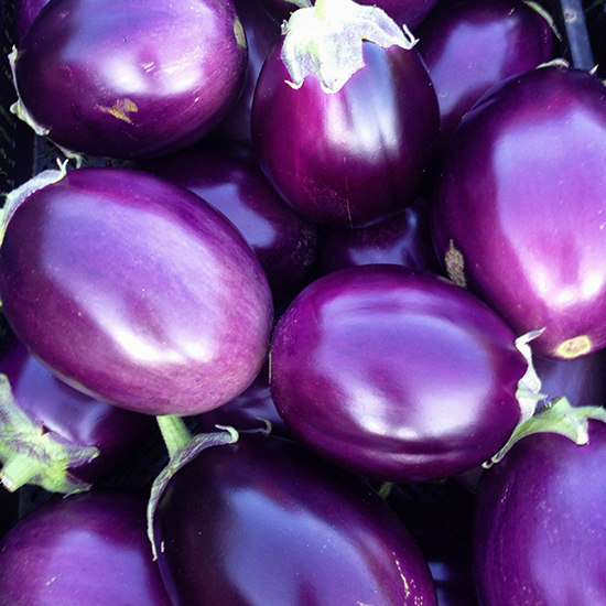 Detail Egg Plant Pic Nomer 24