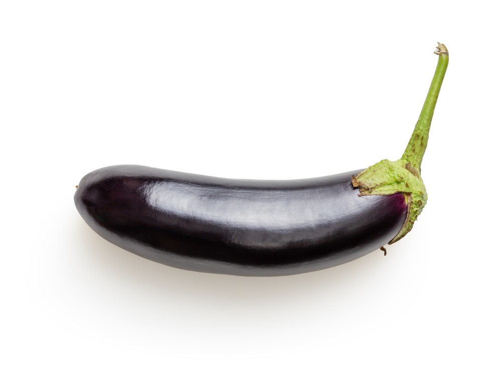Detail Egg Plant Picture Nomer 11