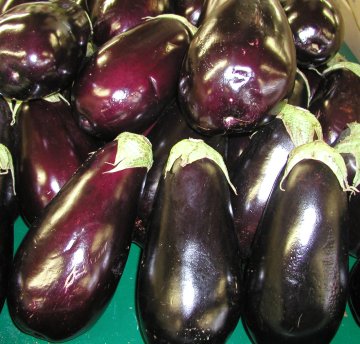Detail Egg Plant Picture Nomer 55