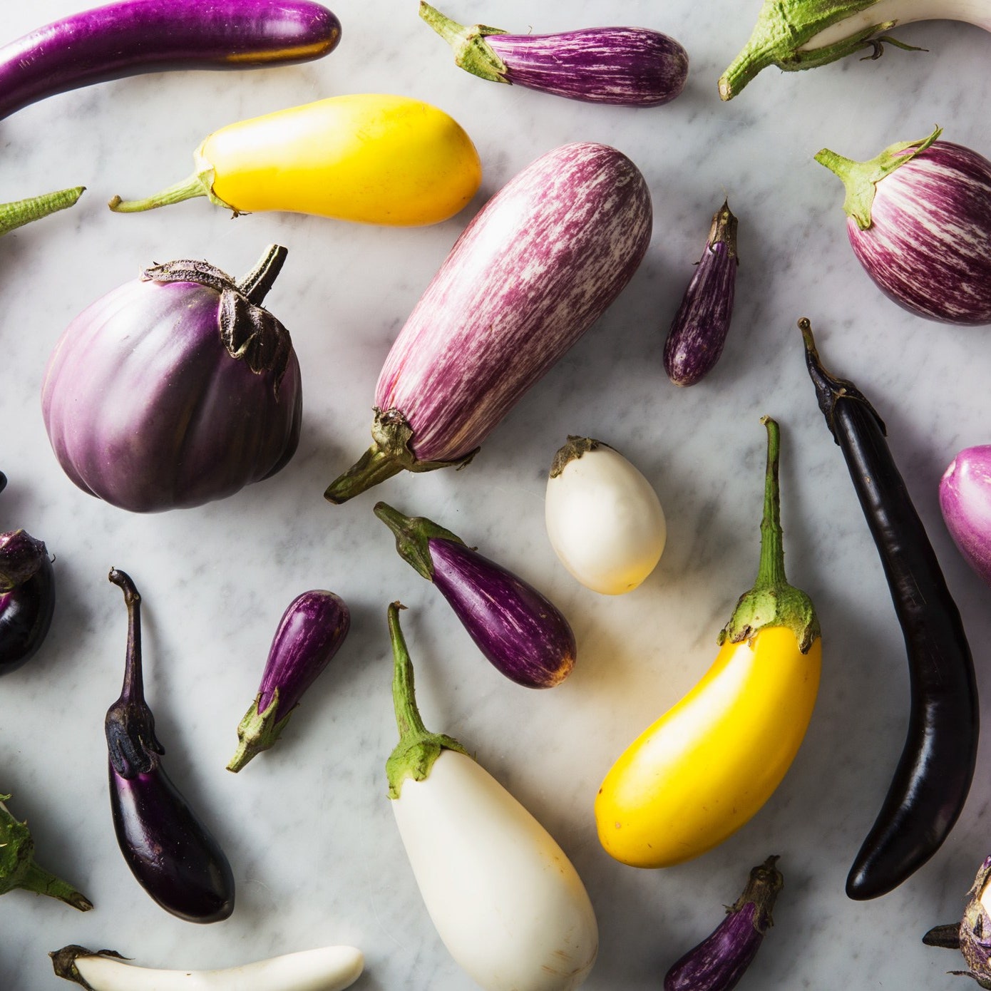 Detail Egg Plant Picture Nomer 9