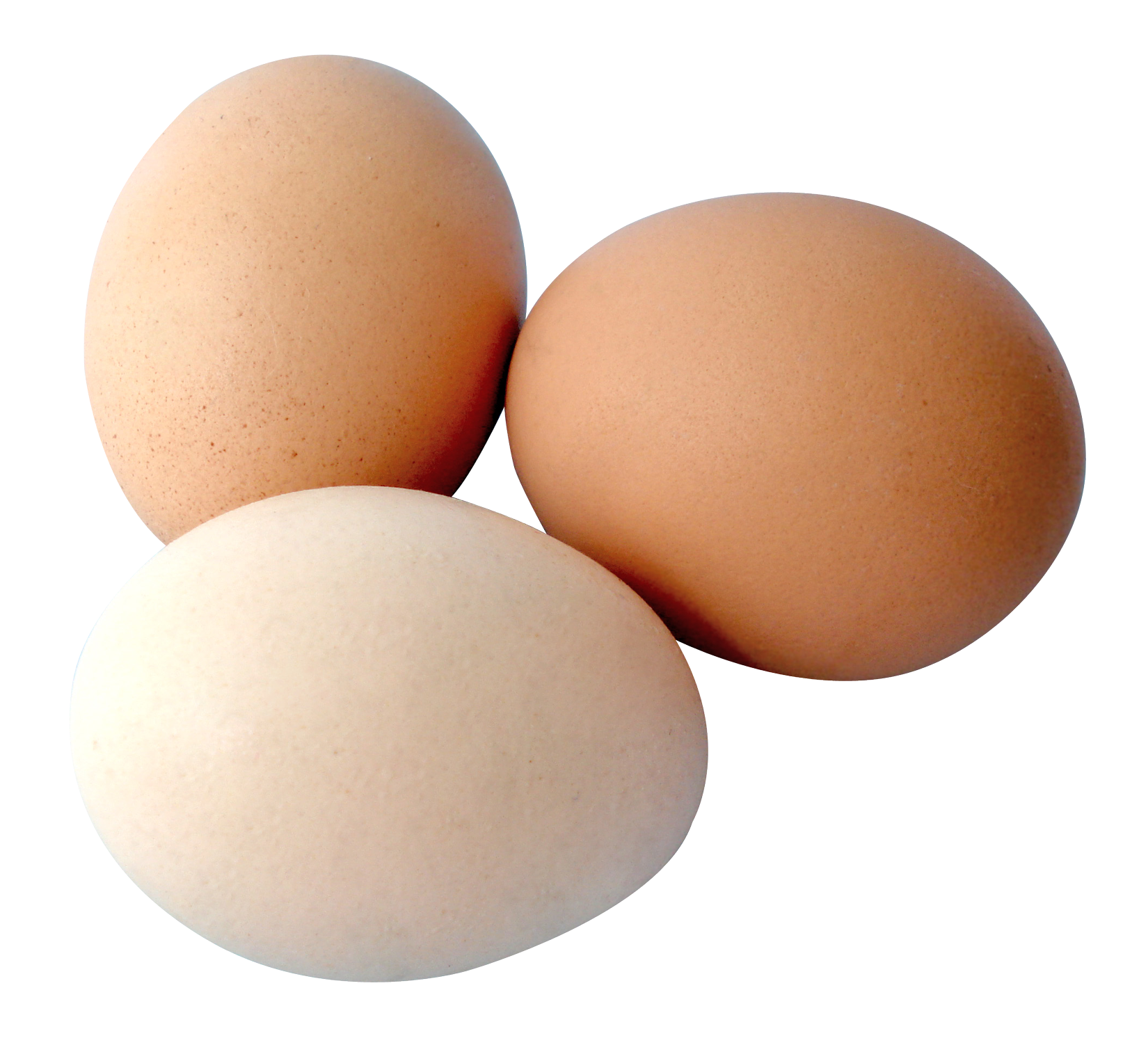 Detail Egg Png Transparent Nomer 12