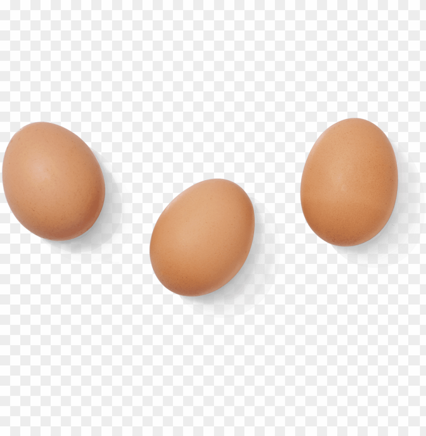 Detail Egg Png Transparent Nomer 14