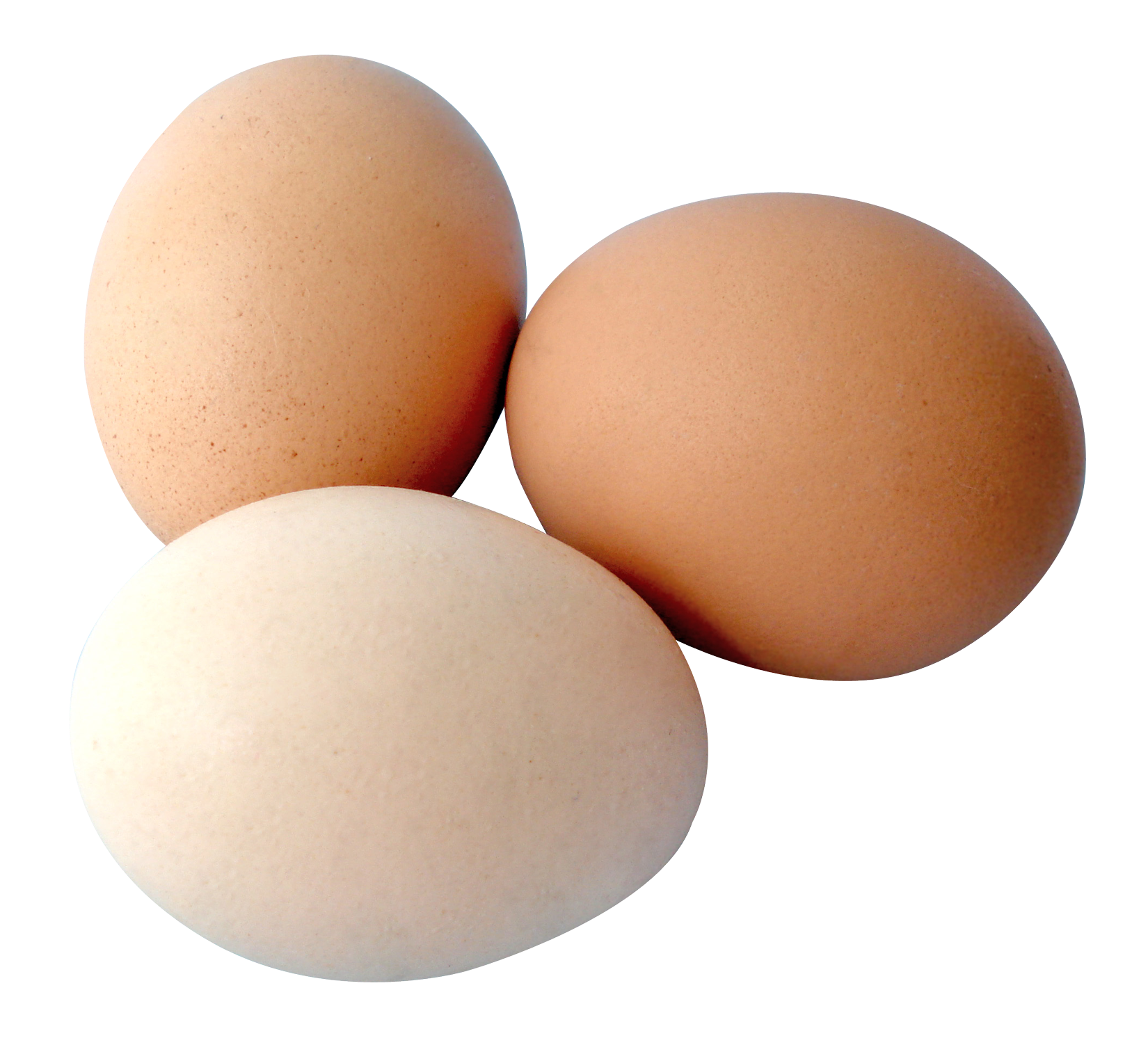 Detail Egg Transparent Background Nomer 12