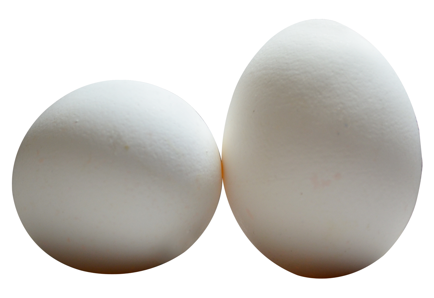 Detail Egg Transparent Background Nomer 19