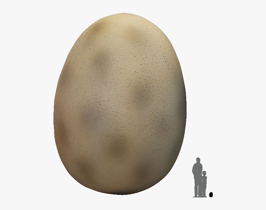 Detail Egg Transparent Background Nomer 29