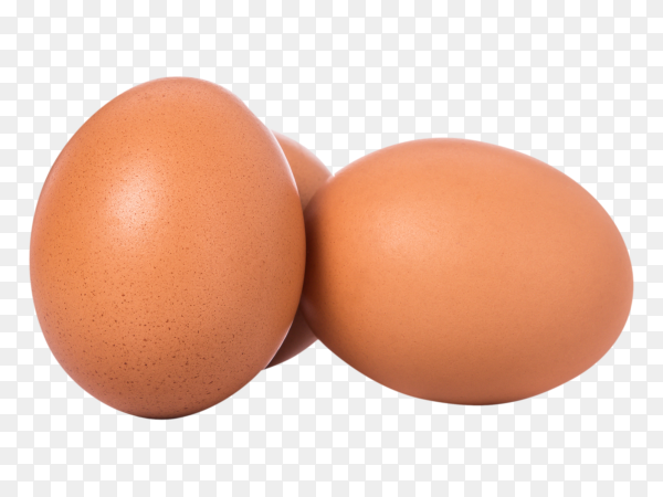 Detail Egg Transparent Background Nomer 42