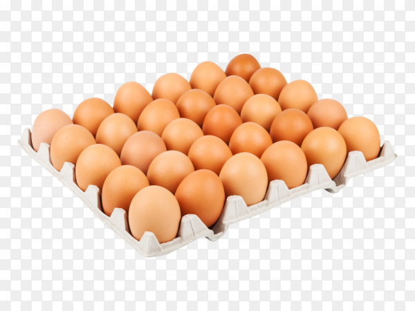 Detail Egg Transparent Background Nomer 43
