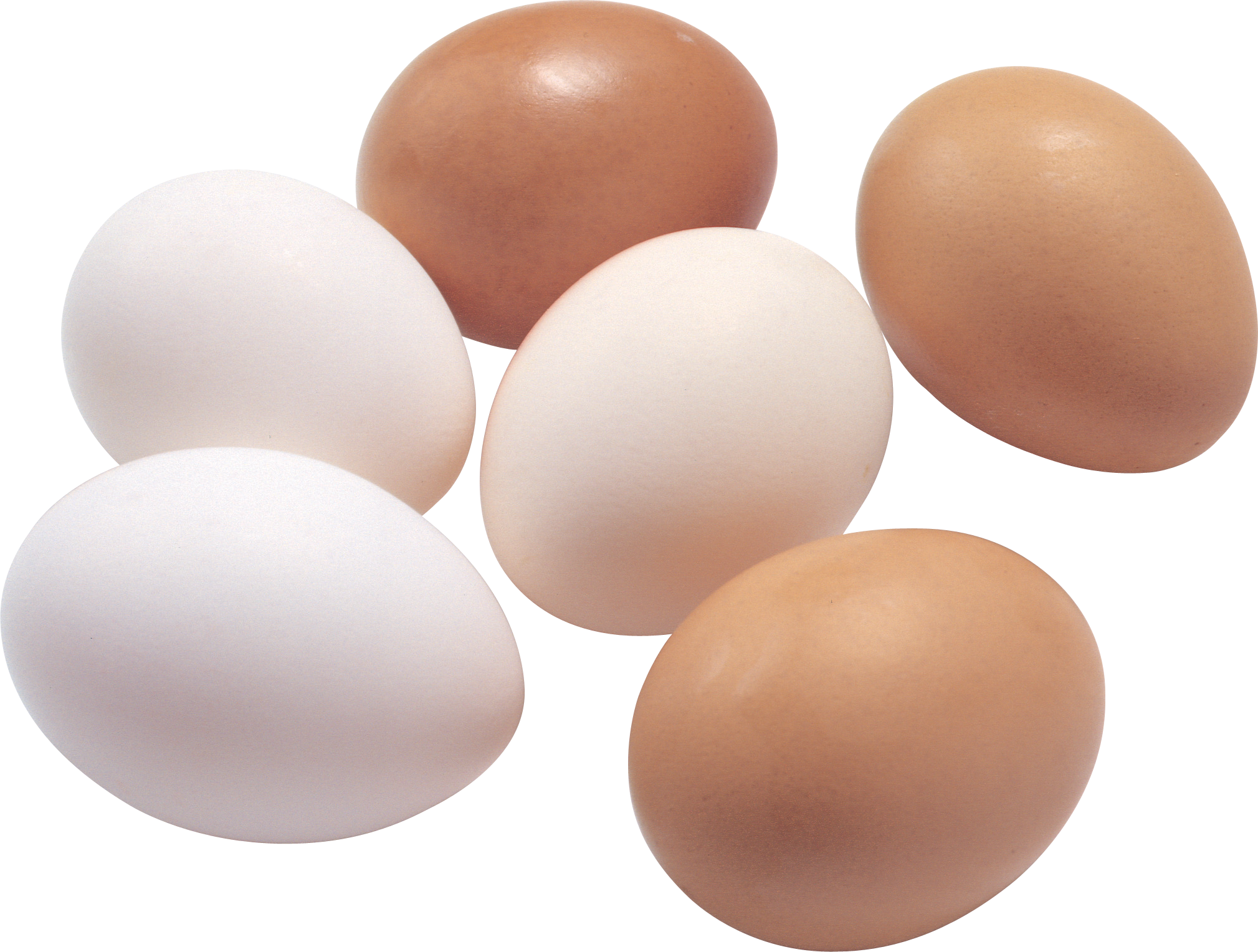 Detail Egg Transparent Background Nomer 54