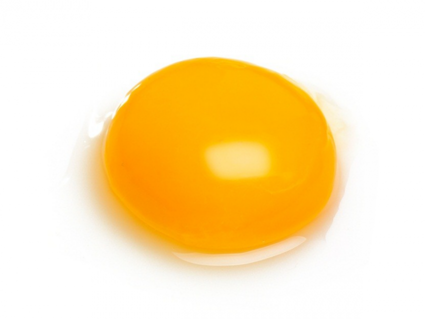 detail-egg-yolk-png-koleksi-nomer-4