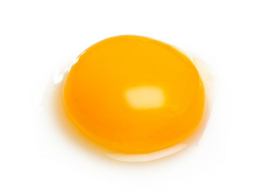 Detail Egg Yolk Png Nomer 4