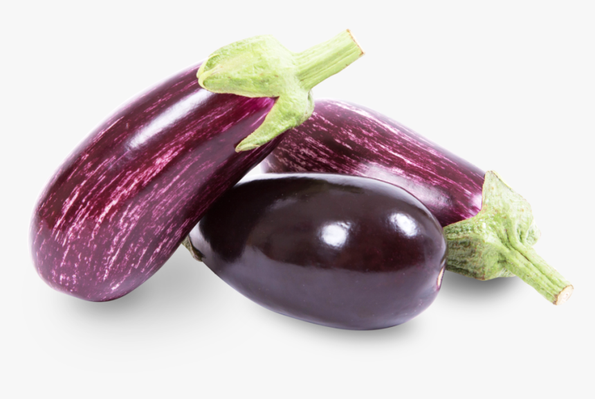 Detail Eggplant Download Nomer 32
