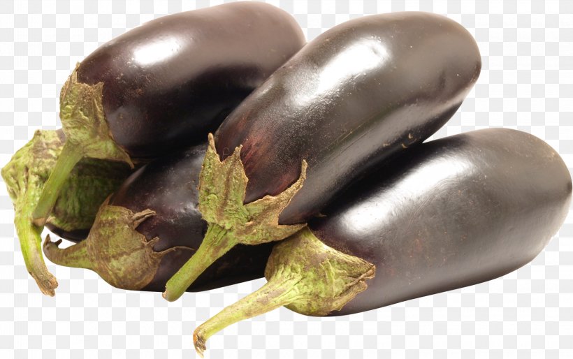 Detail Eggplant Download Nomer 34