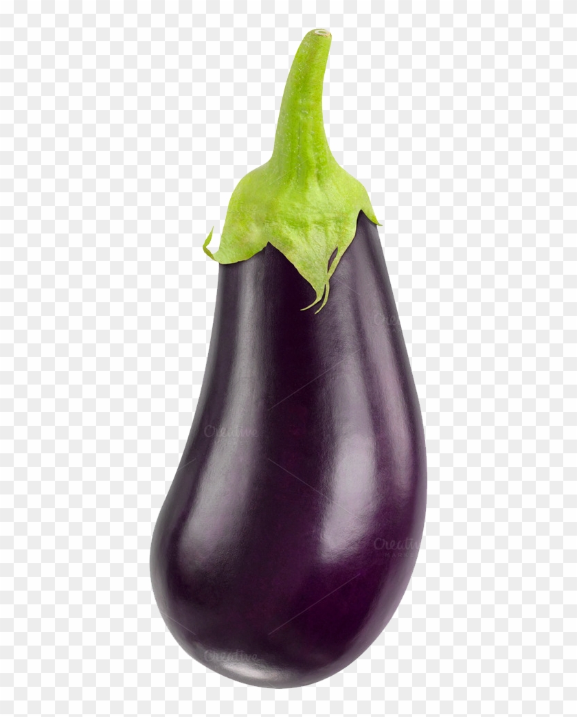Detail Eggplant Download Nomer 35