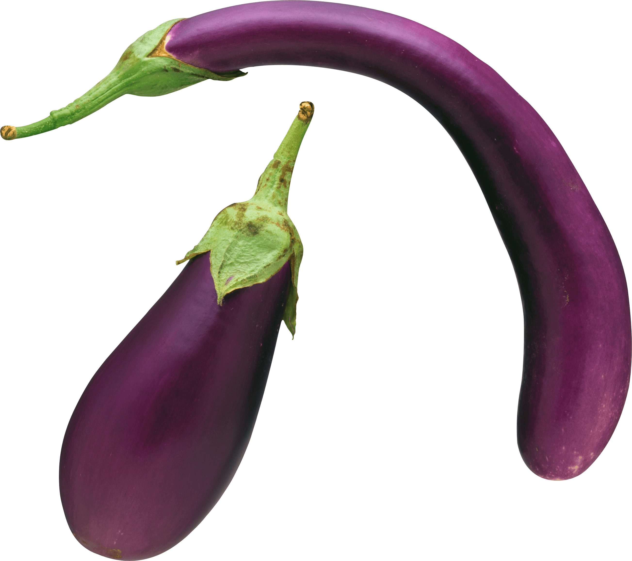 Detail Eggplant Downloads Nomer 20
