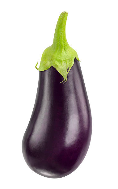 Detail Eggplant Images Nomer 12