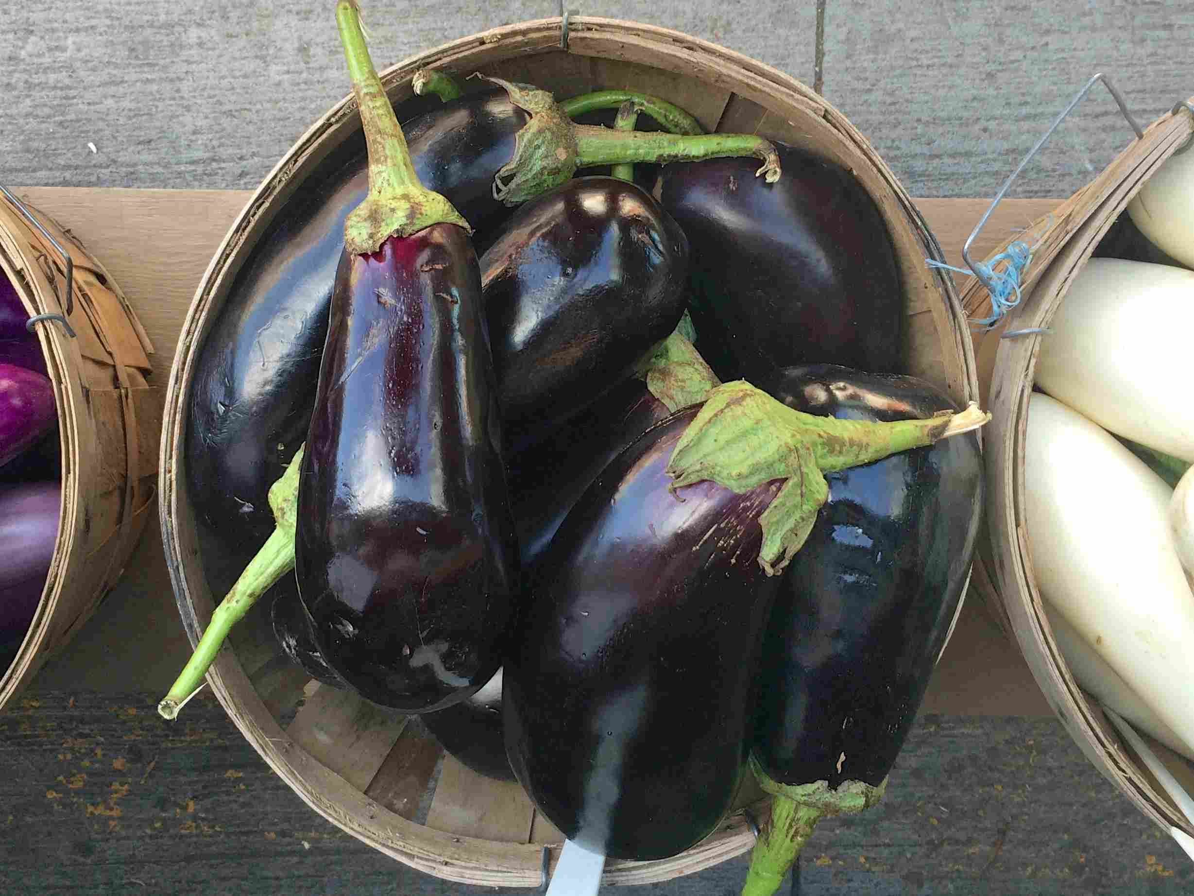 Detail Eggplant Pics Nomer 44