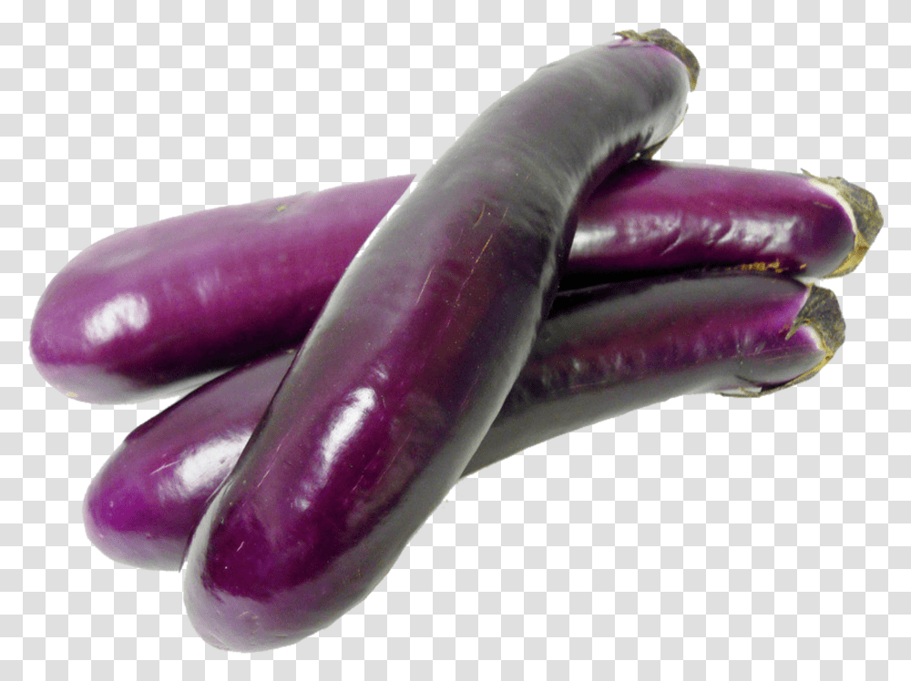 Detail Eggplant Png Nomer 42