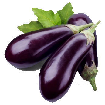 Detail Eggplant Png Nomer 6