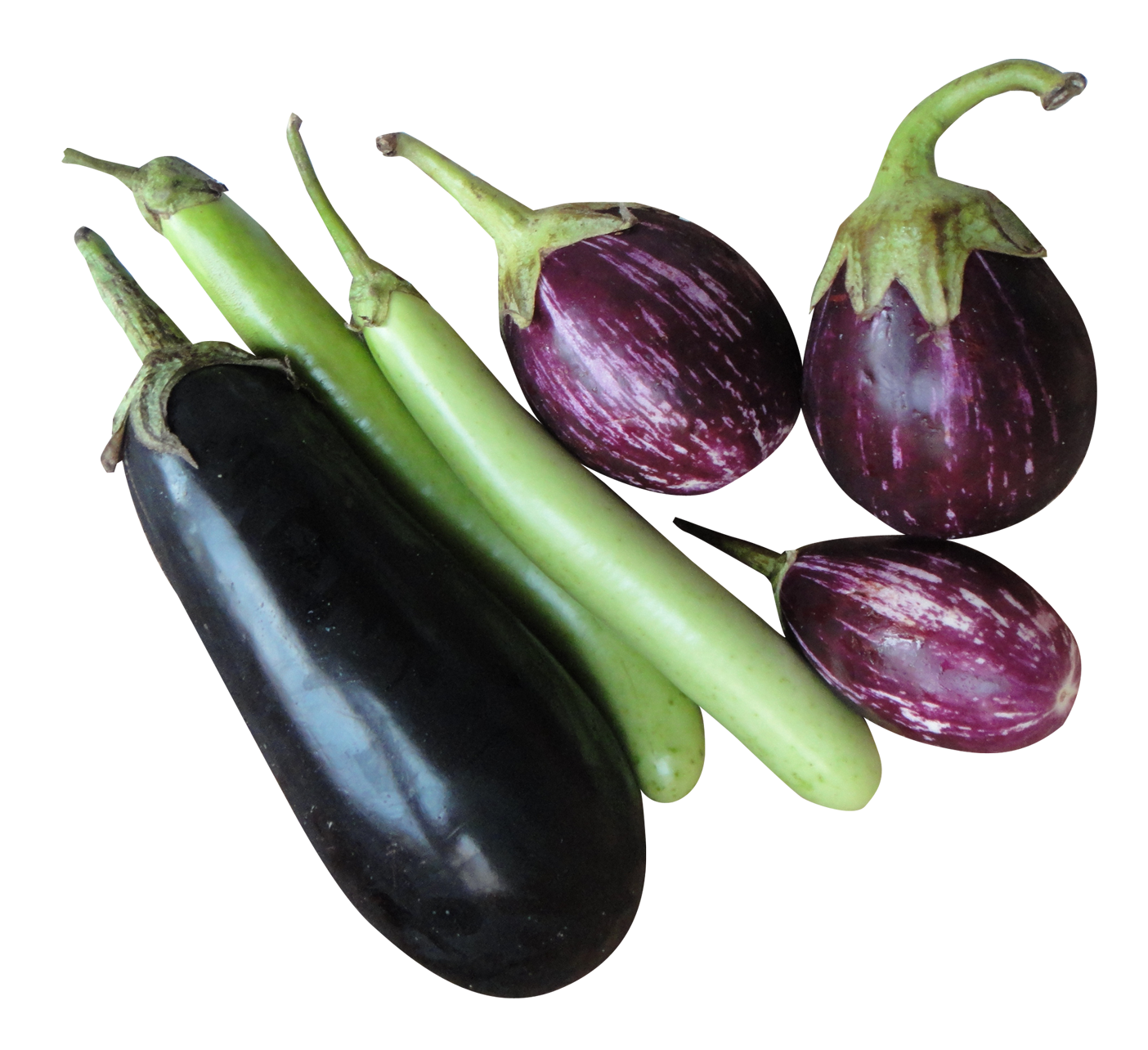 Detail Eggplant Png Nomer 49