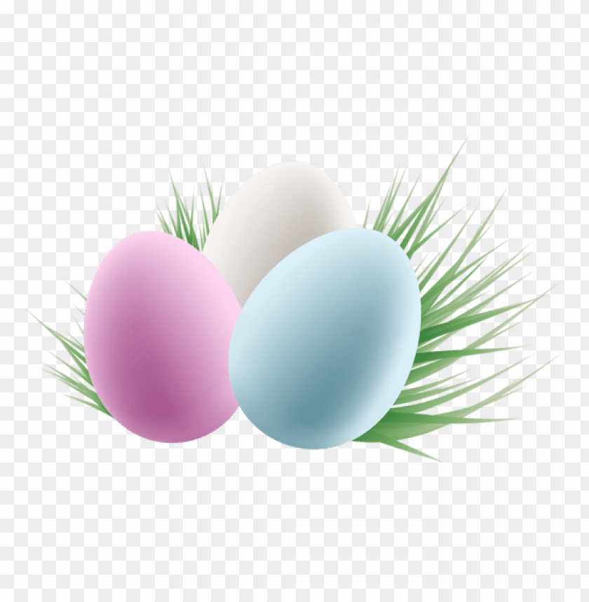 Detail Eggs No Background Nomer 20