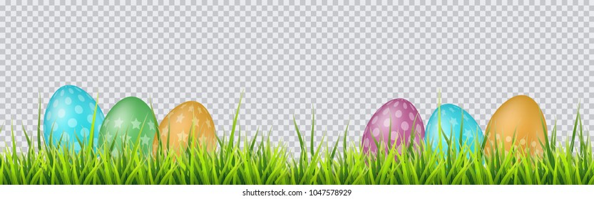 Detail Eggs No Background Nomer 25