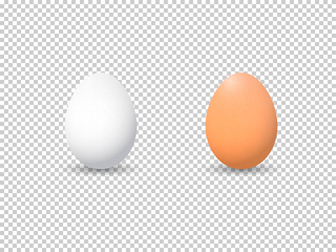 Detail Eggs No Background Nomer 36