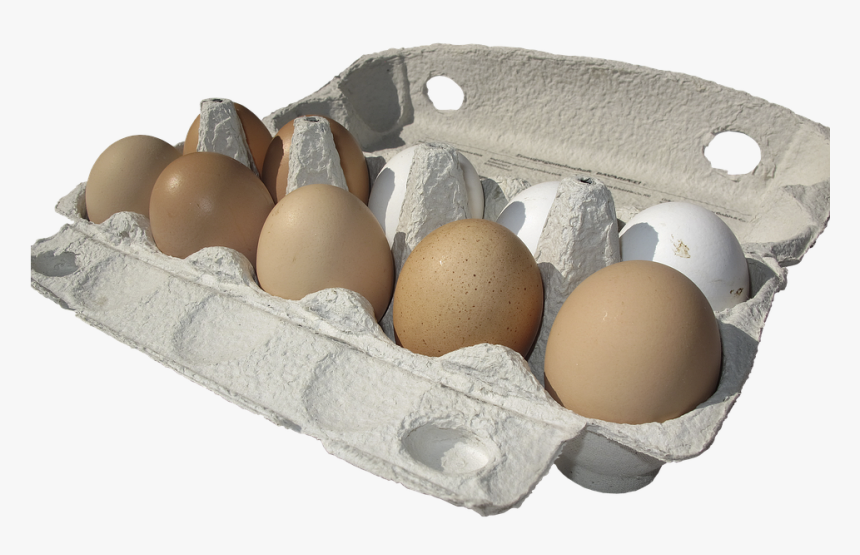 Detail Eggs Transparent Background Nomer 39