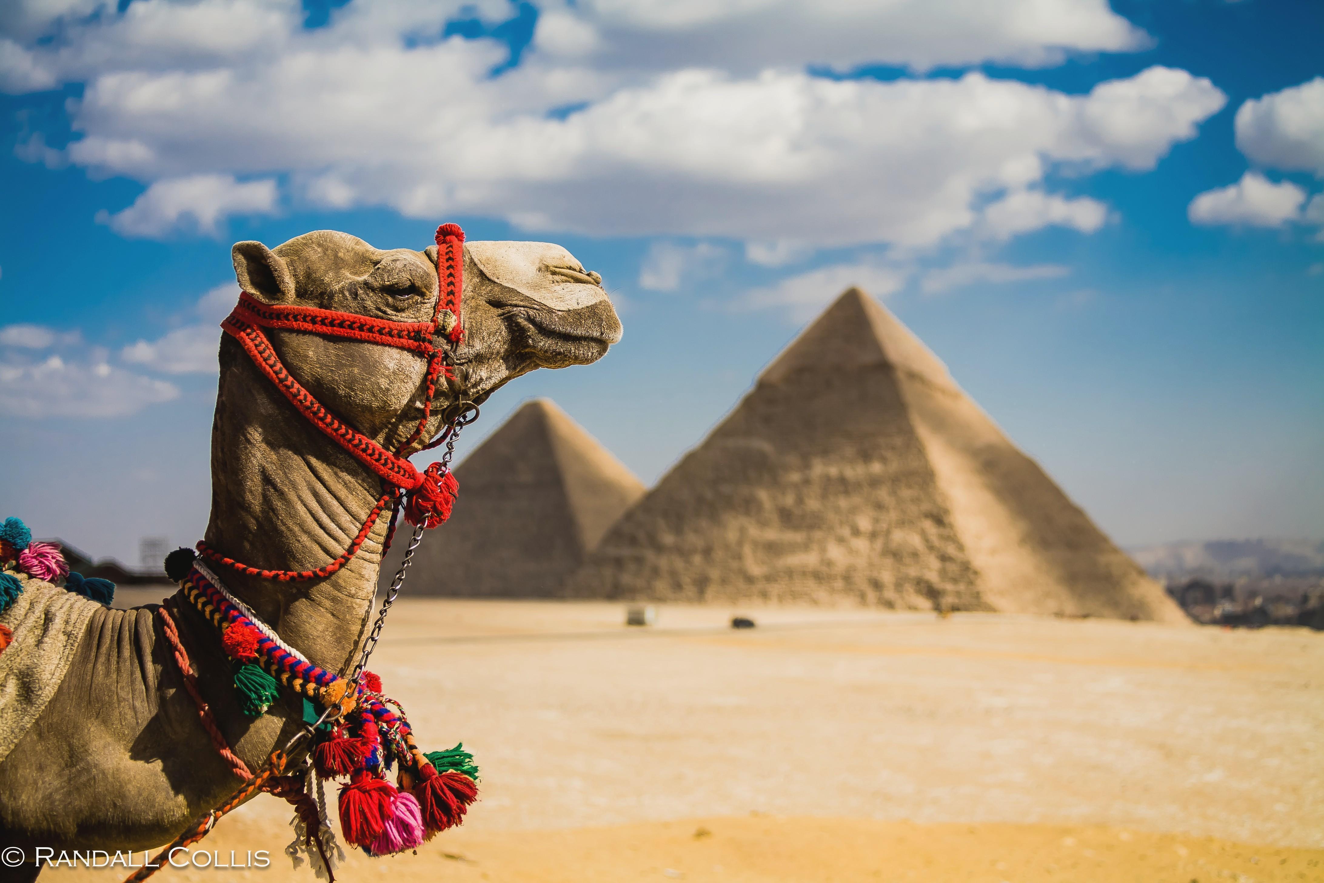 Detail Egypt Wallpaper Hd Nomer 54