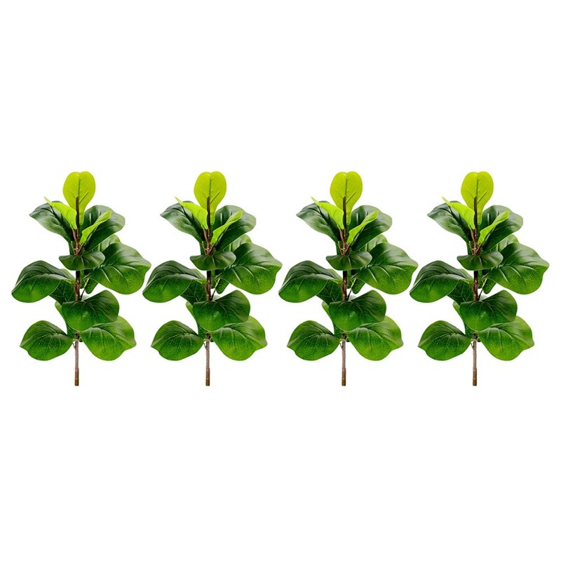 Detail Ficus Lyrata Baum Nomer 12