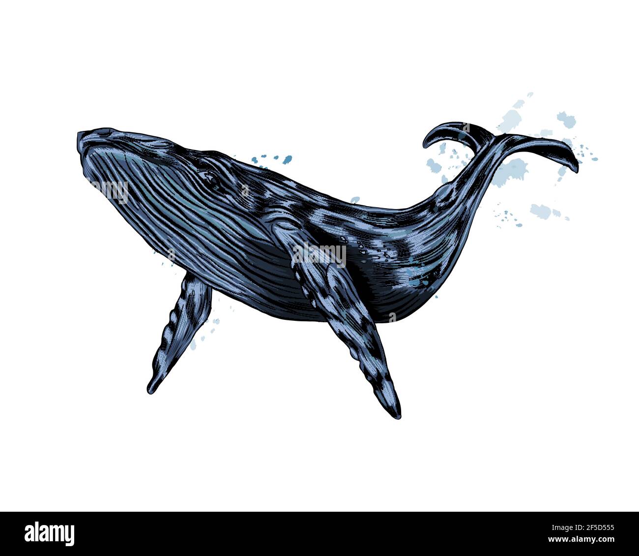 Detail Realistic Vector Nomer 12