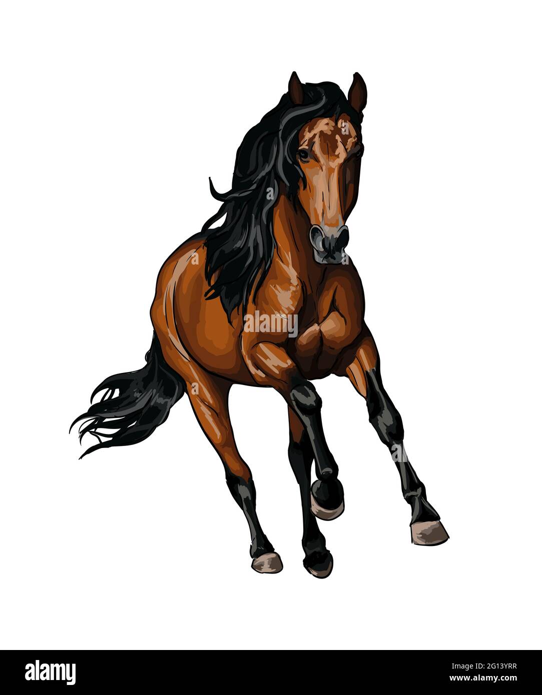 Detail Realistic Vector Nomer 16