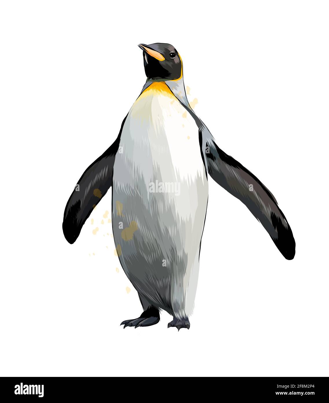 Detail Realistic Vector Nomer 4