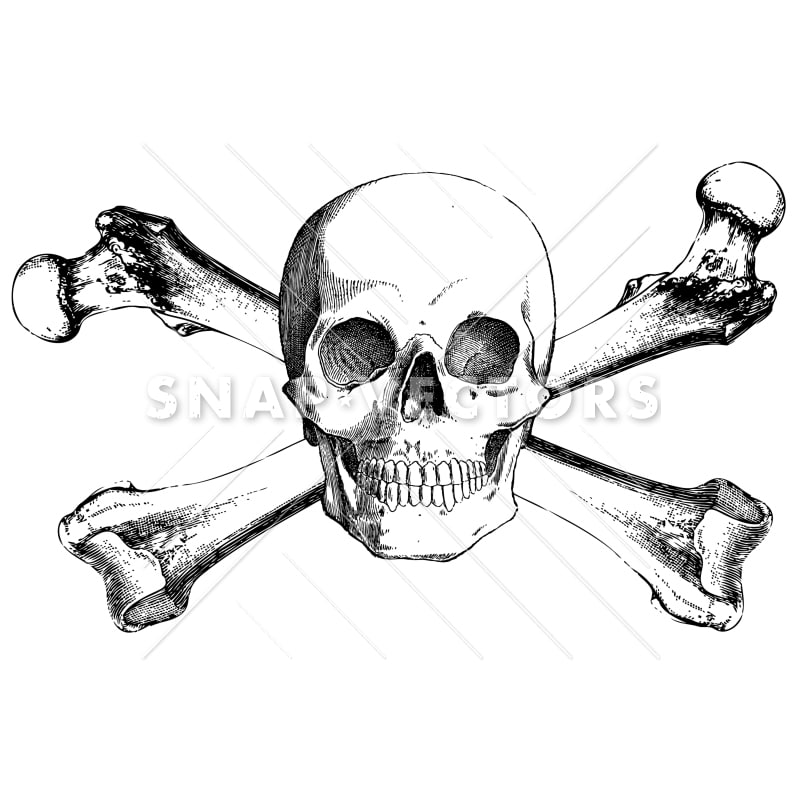 Detail Realistic Vector Nomer 5