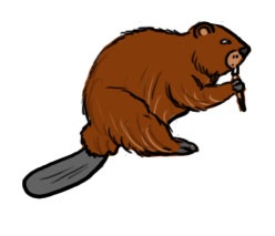 Detail Beaver Sketch Nomer 10