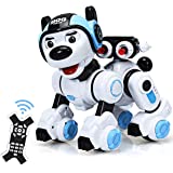 Detail Chip Roboterhund Nomer 18