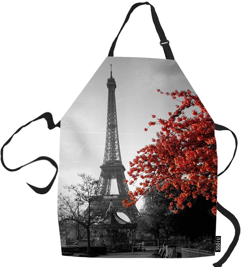 Detail Eiffel Tower Apron Nomer 54