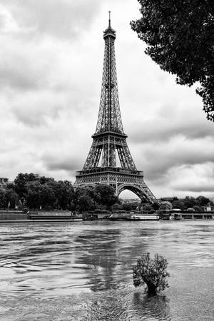 Detail Eiffel Tower Black And White Nomer 22