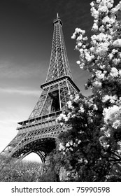 Detail Eiffel Tower Black And White Nomer 55