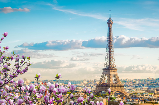 Detail Eiffel Tower Free Nomer 30